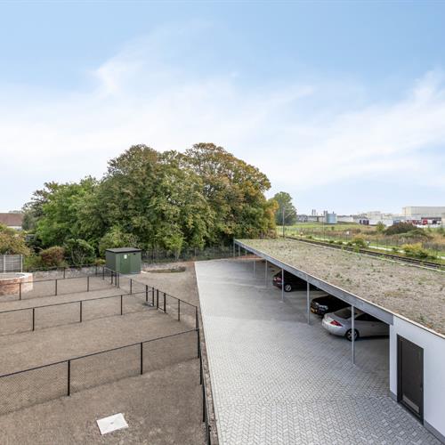 Nieuwbouw te koop Veurne - Caenen 2485109 - 530832