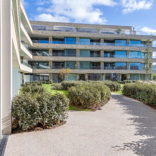 Nieuwbouw te koop Middelkerke - Caenen 2984259 - 530376