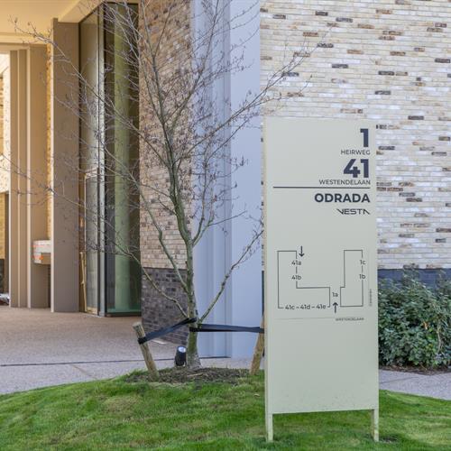 Nieuwbouw te koop Middelkerke - Caenen 2984259 - 530358