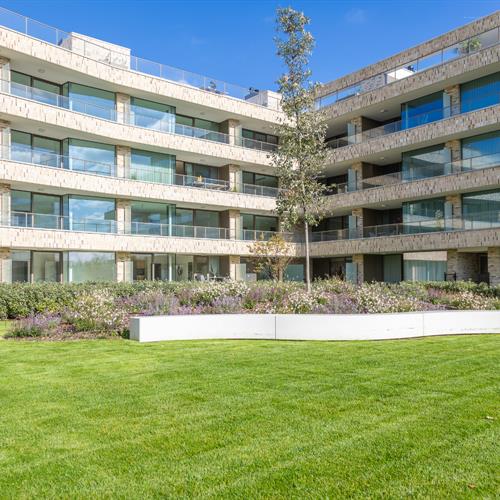 Nieuwbouw te koop Middelkerke - Caenen 2984259 - 530367