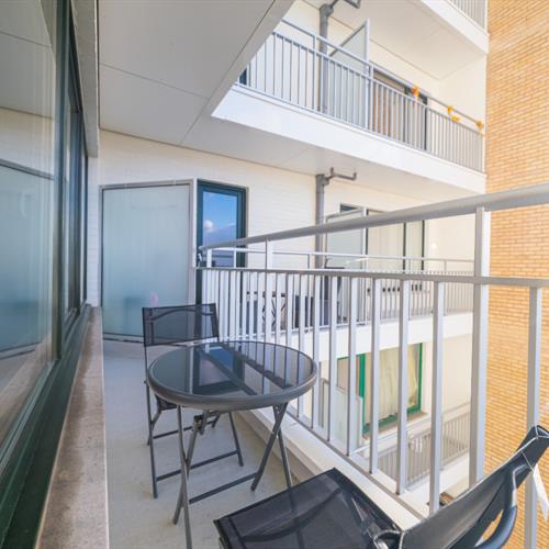 Studio te huur Middelkerke - Caenen 3393731 - 592992