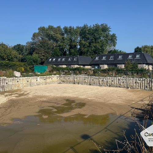 Nieuwbouw te koop Lombardsijde - Caenen 3457131 - 551970