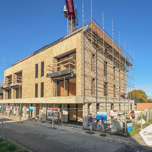 Nieuwbouw te koop Lombardsijde - Caenen 3457131 - 551931