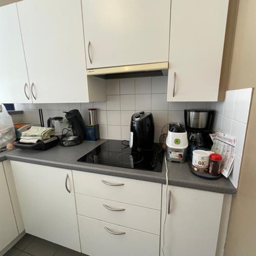 Appartement à louer Blankenberge - Caenen 3556567 - 500666