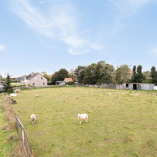 Grond te koop Ruddervoorde - Caenen 3589813 - 479646