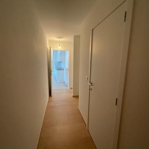 Appartement à louer Blankenberge - Caenen 3689159 - 470687