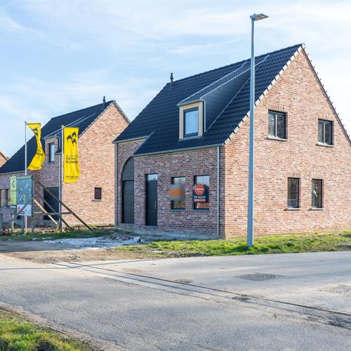 Nieuwbouw te koop Ruddervoorde - Caenen 3738284 - 282252