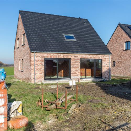 Nieuwbouw te koop Ruddervoorde - Caenen 3738284 - 282258