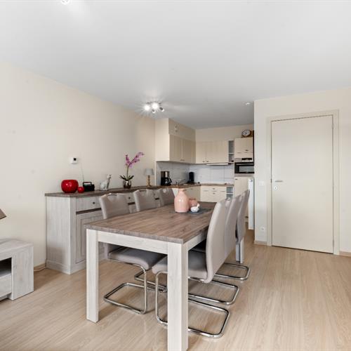 Duplex te huur Blankenberge - Caenen 3831795 - 179055