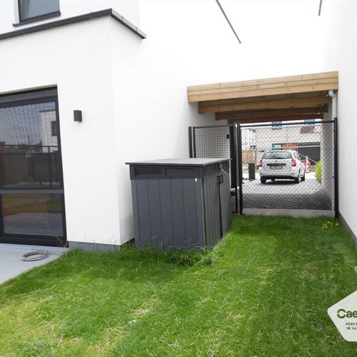Huis te huur Lombardsijde - Caenen 3856750 - 481308