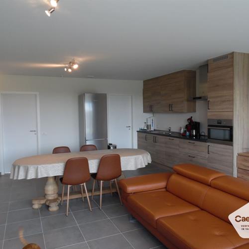 Huis te huur Lombardsijde - Caenen 3856750 - 481296