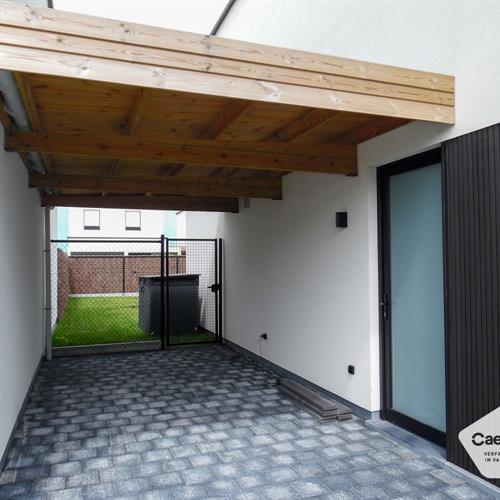 Huis te huur Lombardsijde - Caenen 3856750 - 481227
