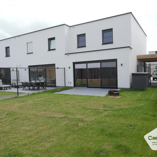 Huis te huur Lombardsijde - Caenen 3856750 - 481221