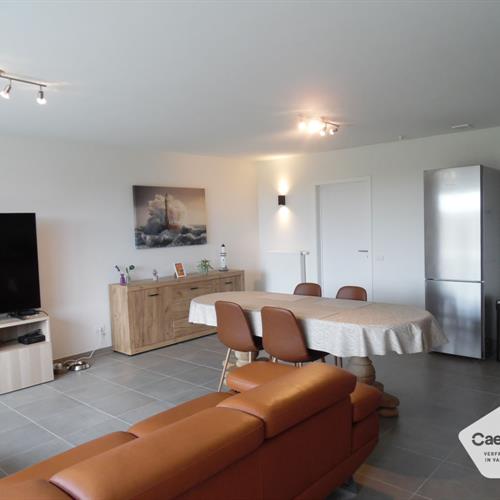 Huis te huur Lombardsijde - Caenen 3856750 - 481293