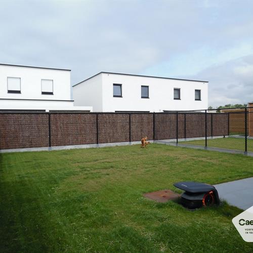 Huis te huur Lombardsijde - Caenen 3856750 - 481314