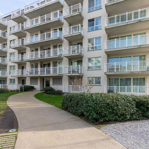 Appartement te koop Blankenberge - Caenen 3898771 - 245958