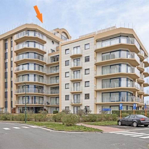 Appartement te koop De Panne - Caenen 3921934 - 245157