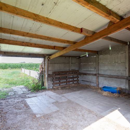 Huis te koop Ruddervoorde - Caenen 3946993 - 485538