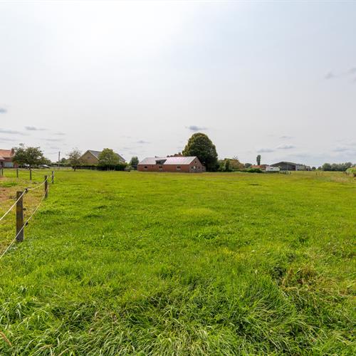 Huis te koop Ruddervoorde - Caenen 3946993 - 485526