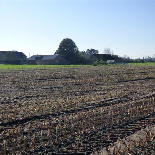 Huis te koop Ruddervoorde - Caenen 3946993 - 485532