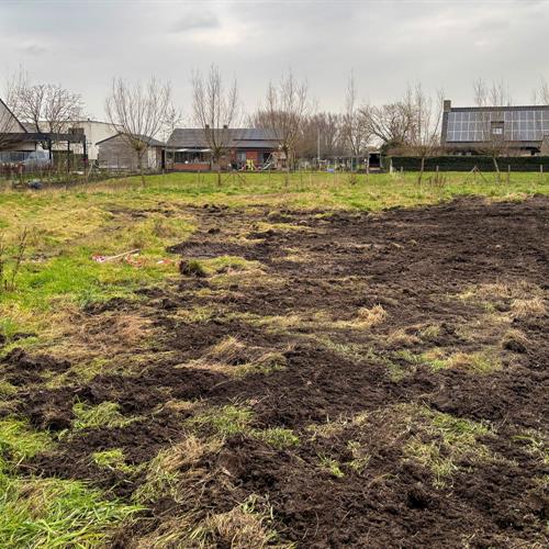 Terrain à vendre Ruddervoorde - Caenen 3957128 - 623174