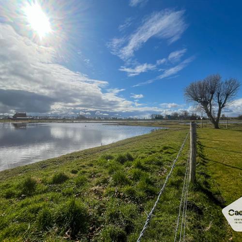 Maison de vacances à vendre Westende - Caenen 3958203 - 597965