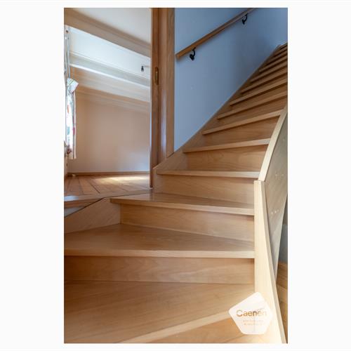 Huis te koop Ruddervoorde - Caenen 3966229 - 483984