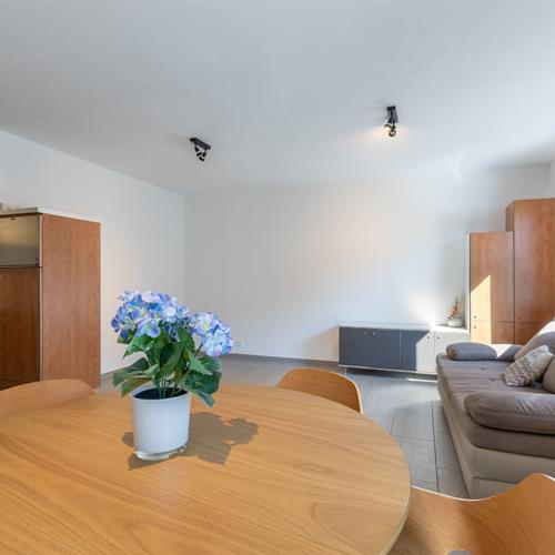 Appartement à vendre Nieuport - Caenen 4012362 - 460592