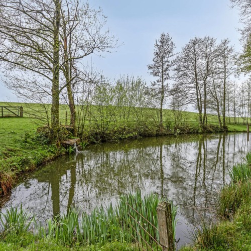 Huis te koop Florenville - Caenen 4019945 - 3746001023000100211