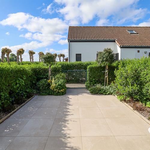 Maison de vacances à vendre Westende - Caenen 4020428 - 388682
