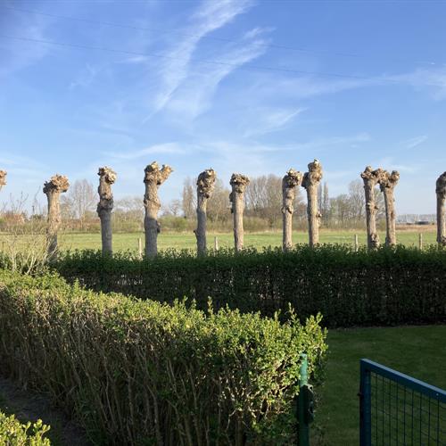 Vakantiewoning te koop Westende - Caenen 4020428 - 477012