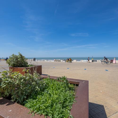 Appartement te koop Oostende - Caenen 4048392 - 367917