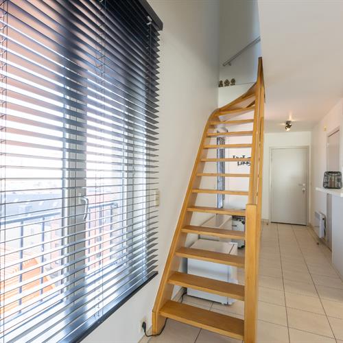 Duplex te koop Middelkerke - Caenen 4052831 - 373599