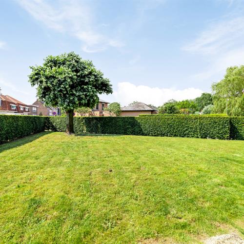 Appartement à vendre Oostkamp - Caenen 4055694 - 377882
