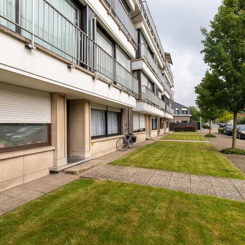 Appartement à louer Oostkamp - Caenen 4056646 - 379526