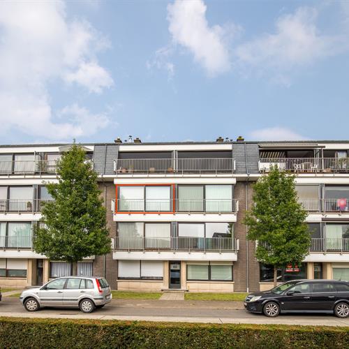 Appartement à louer Oostkamp - Caenen 4056646 - 379529