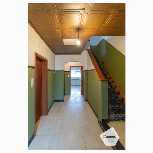 Maison à vendre Sint-kruis - Caenen 4082497 - 419066
