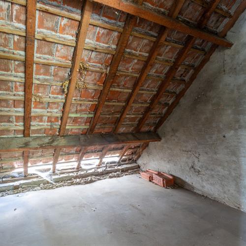 Maison à vendre Sint-kruis - Caenen 4082497 - 419105