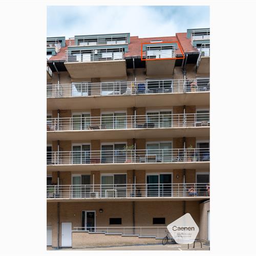 Studio à vendre Nieuport - Caenen 4103048 - 434996