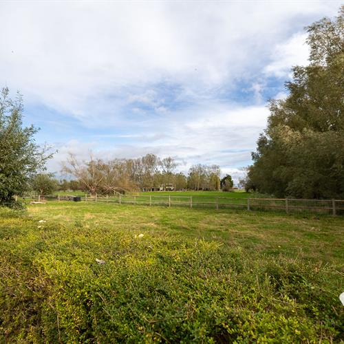 Maison de vacances à vendre Lombardsijde - Caenen 4108479 - 537797