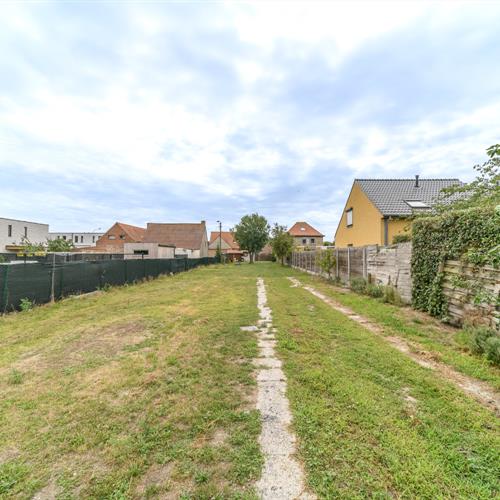 Huis te koop De Panne - Caenen 4111795 - 453906