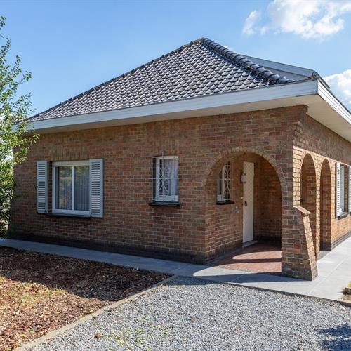 Huis te koop Ruddervoorde - Caenen 4134436 - 501396