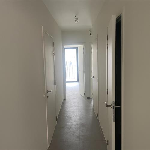 Appartement à louer Ostende - Caenen 4134466 - 473939