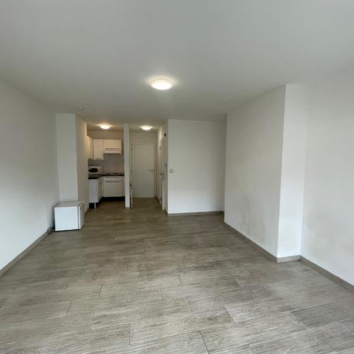 Studio à louer Blankenberge - Caenen 4147011 - 490988