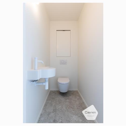 Maison à louer Ruddervoorde - Caenen 4153170 - 494240