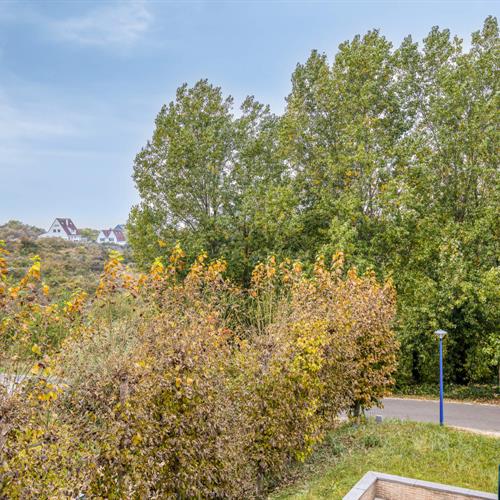 Appartement à vendre Oostduinkerke - Caenen 4171964 - 513767