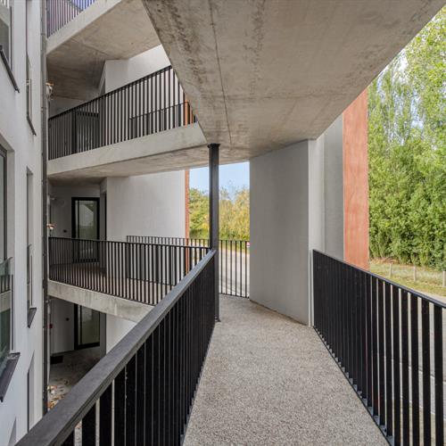 Appartement à vendre Furnes - Caenen 4172817 - 517619
