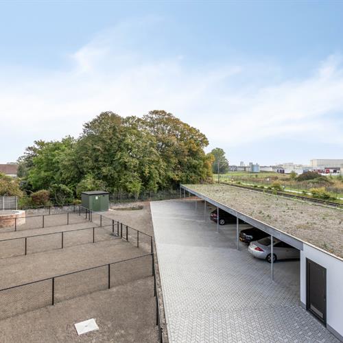Appartement à vendre Furnes - Caenen 4172887 - 515291