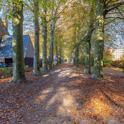 Huis te koop Sint-Michiels - Caenen 4187638 - 547434