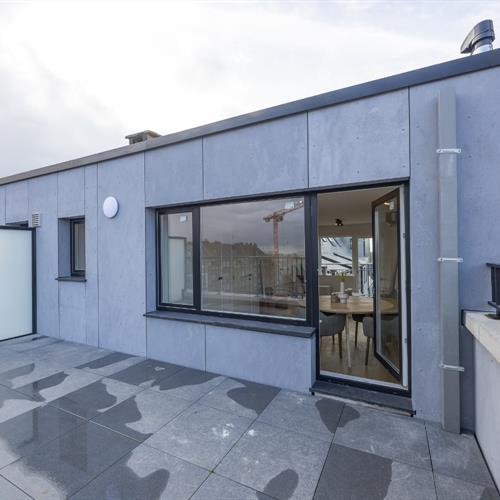 Studio te koop Middelkerke - Caenen 4207871 - 564528